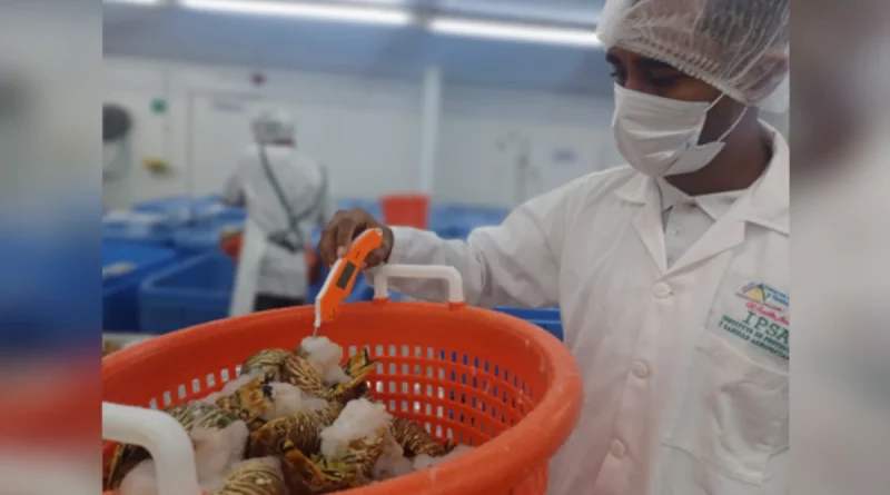 ipsa, Nicaragua, gobierno de Nicaragua, costa caribe, Nicaragua,