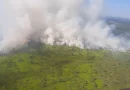 Paraguay, incendio forestal, frontera con argentina, incendio,
