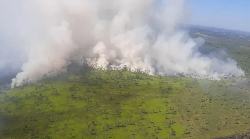 Paraguay, incendio forestal, frontera con argentina, incendio,