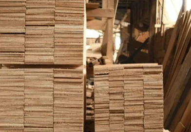 marena, nicaragua, exportaciones, forestales, recursos naturalez,