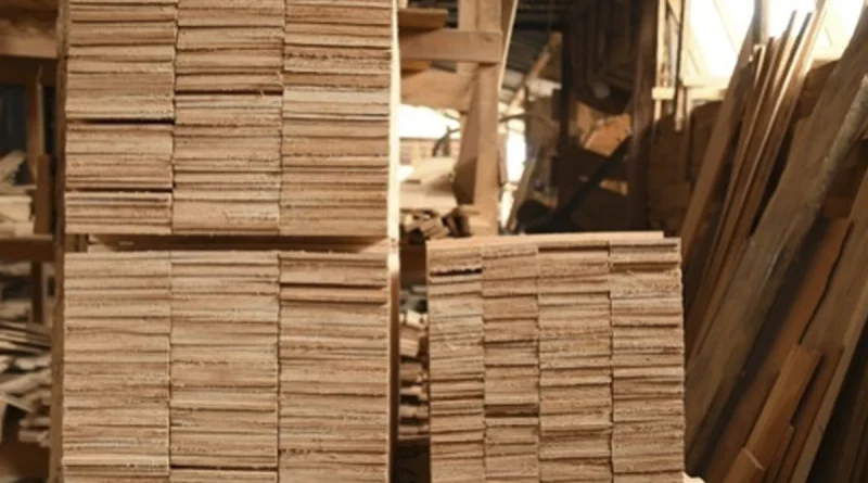 marena, nicaragua, exportaciones, forestales, recursos naturalez,