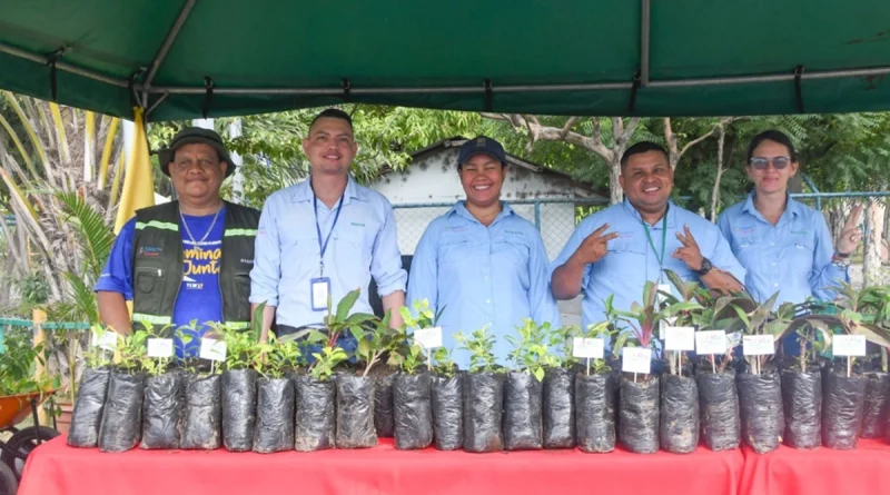 marena, verde que te quiero verde, managua,