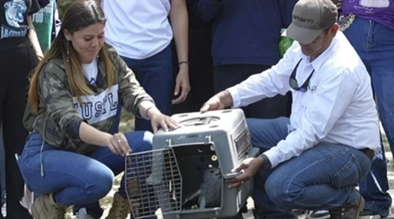 marena, masaya, gobierno de nicaragua, tisma, fauna silvestre, liberacion,