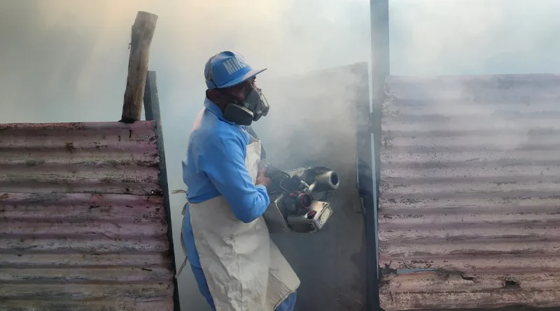 nicaragua, minsa, brigadistas, jornada