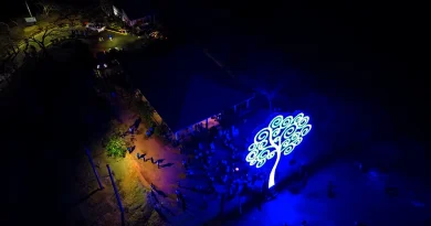 arbol de la vida, ocotal, nueva segovia, militancia sandinista,