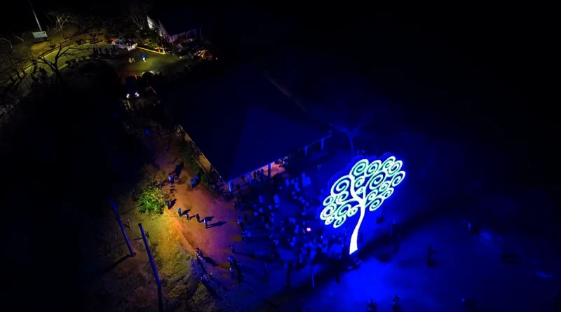 arbol de la vida, ocotal, nueva segovia, militancia sandinista,