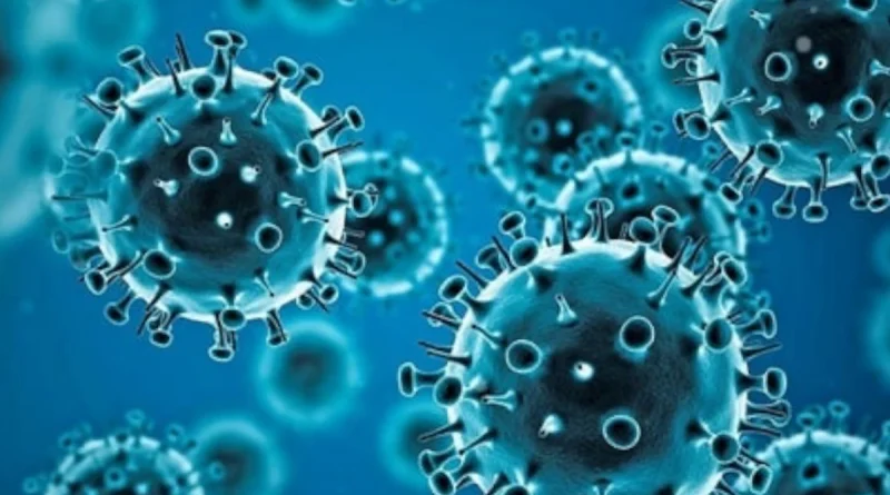 informe, ministerio de saudís, salud, ministerio de salud, Nicaragua,