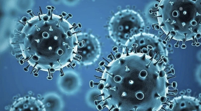 nicaragua, minsa, covid 19, ministerio de salud