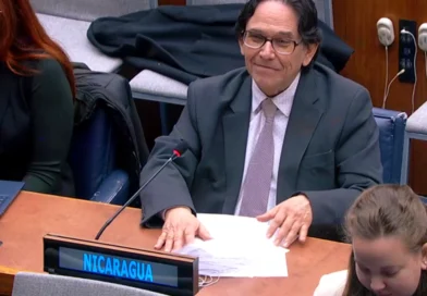 onu, cede, 16 de febrero, seminario,