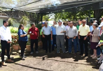 Chinandega, MARENA; plan de reforestación, 2026