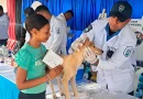 feria de salud animal, spn nicaragua, salud animal 2026, atención veterinaria gratuita, vacunación antirrábica, bienestar animal, desparasitación mascotas, general sandino, jornadas veterinarias en tipitapa, nicaragua