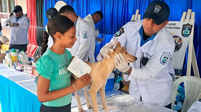 feria de salud animal, spn nicaragua, salud animal 2026, atención veterinaria gratuita, vacunación antirrábica, bienestar animal, desparasitación mascotas, general sandino, jornadas veterinarias en tipitapa, nicaragua
