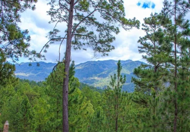 clima en nicaragua, pronóstico del tiempo, temperaturas, vientos fuertes, regiones de nicaragua, lluvias en caribe, 16 de febrero de 2026, nicaragua