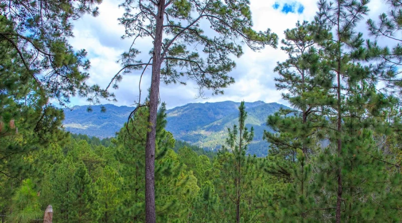 clima en nicaragua, pronóstico del tiempo, temperaturas, vientos fuertes, regiones de nicaragua, lluvias en caribe, 16 de febrero de 2026, nicaragua