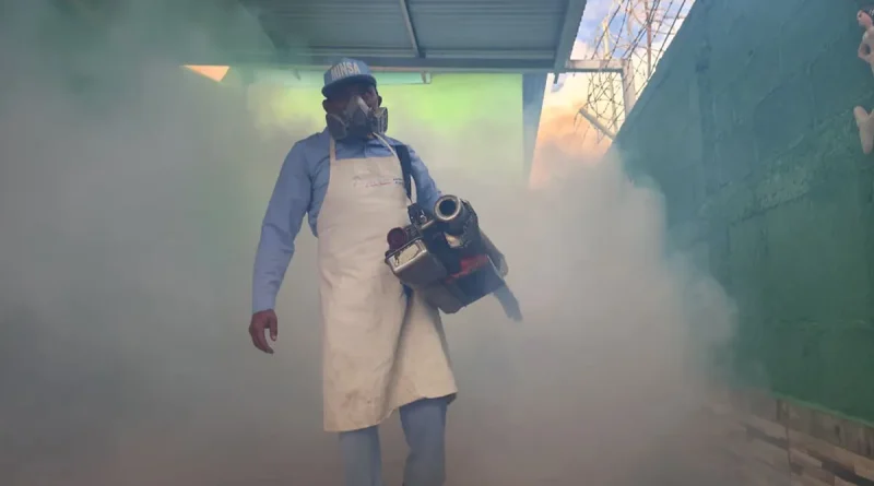 minsa, nicaragua, jornada