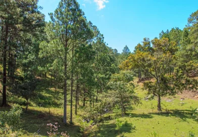 clima en nicaragua, calor intenso, lluvias en regiones central y caribe, regiones de nicaragua, temperaturas, 17 de febrero de 2026, pronóstico del tiempo, ambiente