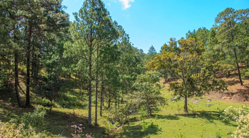 clima en nicaragua, calor intenso, lluvias en regiones central y caribe, regiones de nicaragua, temperaturas, 17 de febrero de 2026, pronóstico del tiempo, ambiente